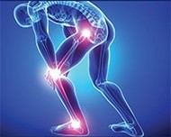 1735461176-Orthopeadics