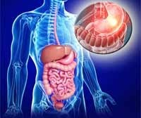 1735461540-Gastroenterology