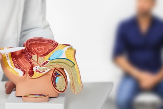 1735535410-1733767966-Male_Reproduction_Treatment